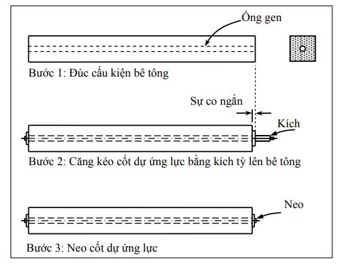 Dự ứng lực kéo sau